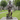 Bronze Statue of Blessed Carlo Acutis