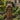 Bronze Statue of Mother Cabrini