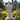marble st patrick statue
